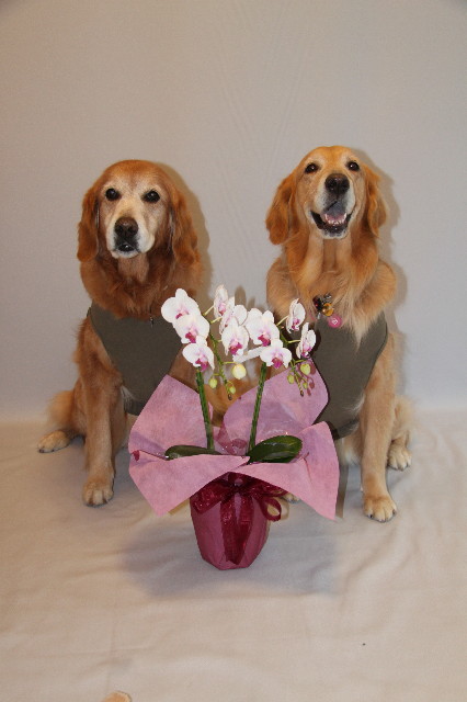 ファイル 2149-2.jpg