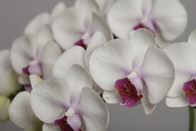 ファイル 2149-3.jpg