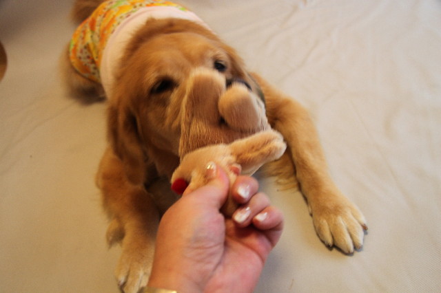 ファイル 2149-4.jpg