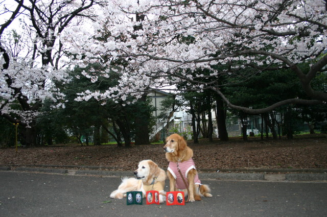 ファイル 215-1.jpg