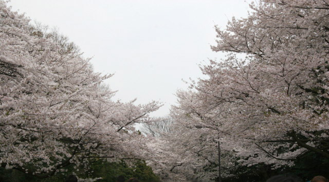 ファイル 215-3.jpg