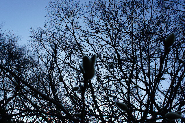 ファイル 2150-4.jpg