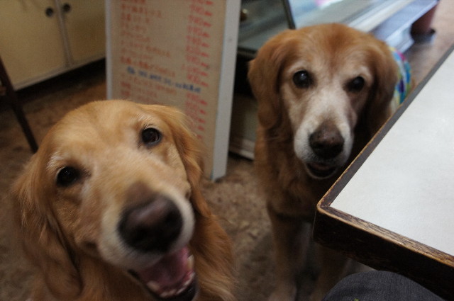 ファイル 2150-5.jpg