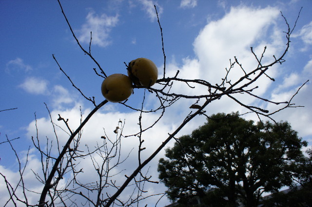 ファイル 2156-5.jpg