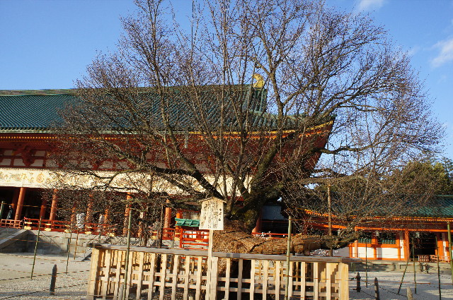 ファイル 2159-3.jpg