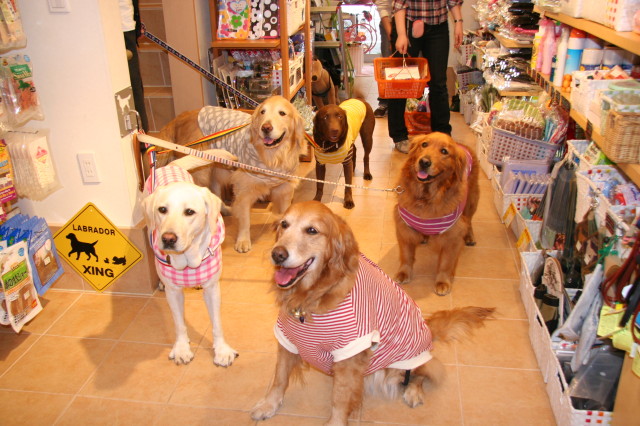 ファイル 216-1.jpg