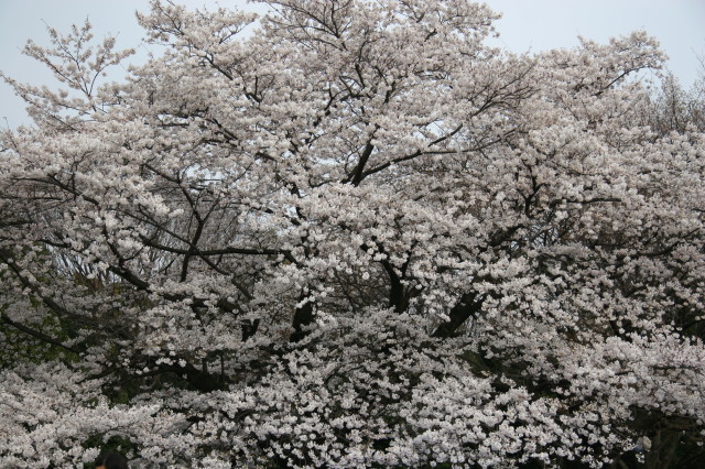 ファイル 216-2.jpg