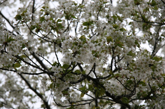 ファイル 216-3.jpg