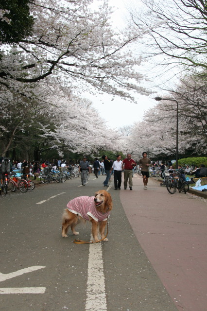 ファイル 216-5.jpg