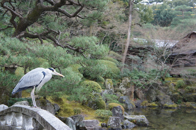 ファイル 2164-3.jpg