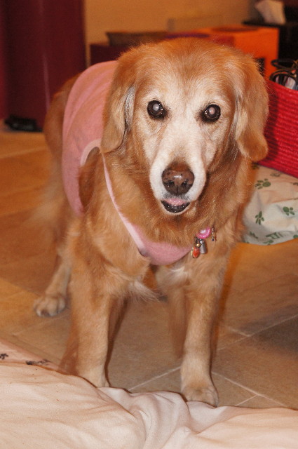 ファイル 2168-3.jpg