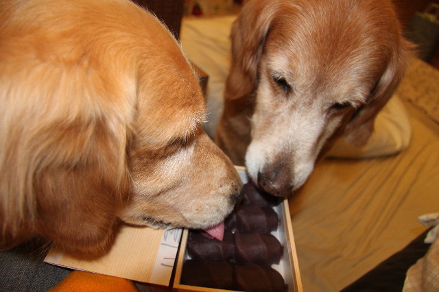 ファイル 2168-5.jpg