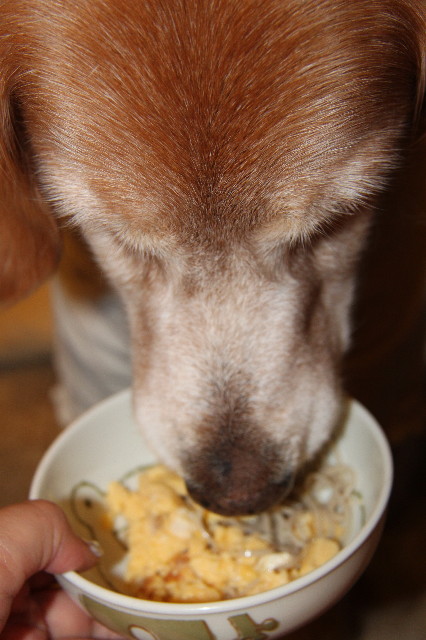 ファイル 2169-2.jpg