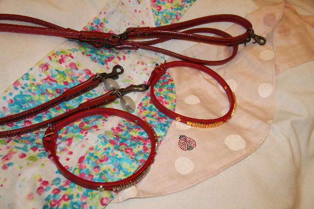 ファイル 2169-5.jpg