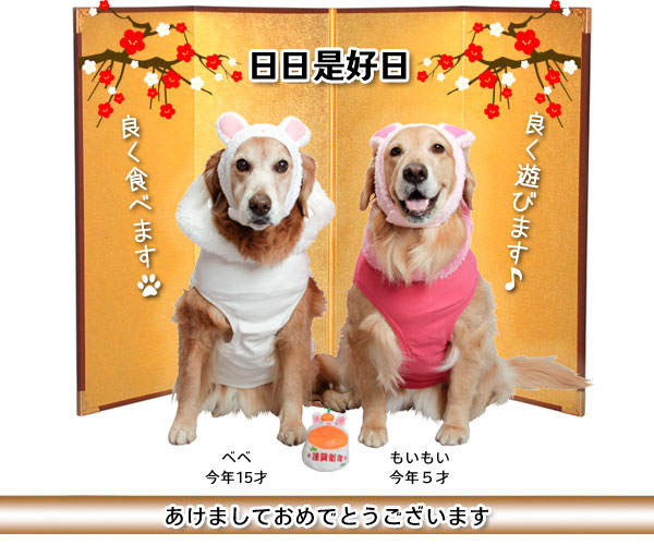 ファイル 2170-1.jpg