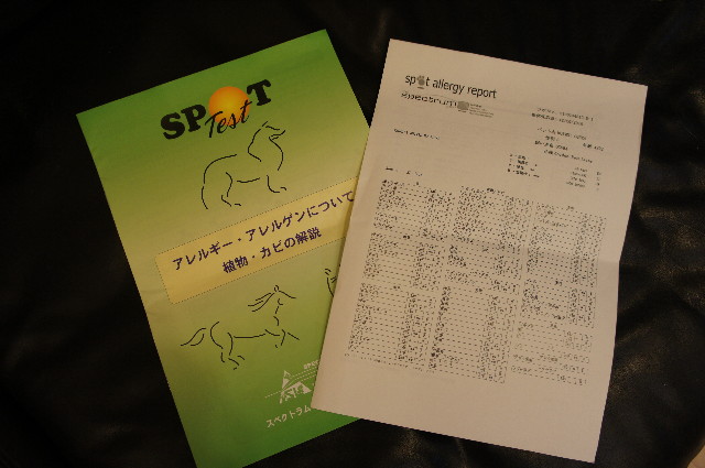 ファイル 2172-1.jpg