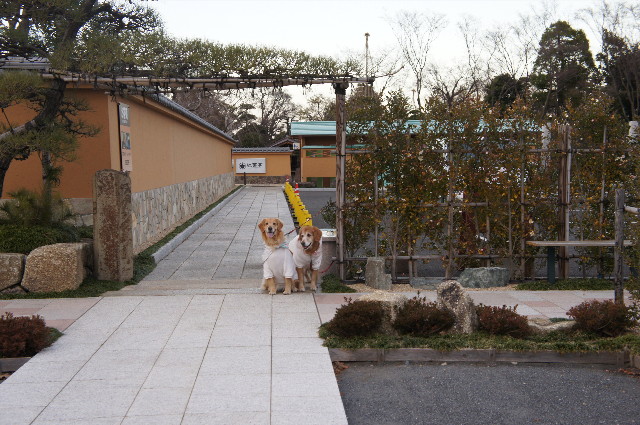 ファイル 2173-2.jpg