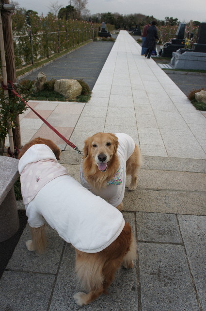 ファイル 2173-3.jpg