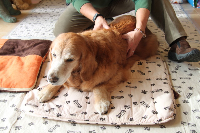 ファイル 2177-1.jpg