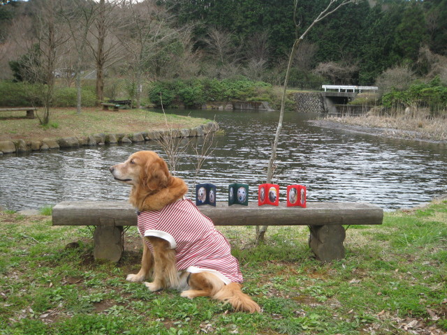 ファイル 218-2.jpg