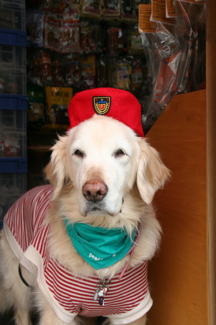 ファイル 218-5.jpg