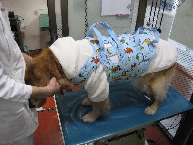 ファイル 2180-1.jpg