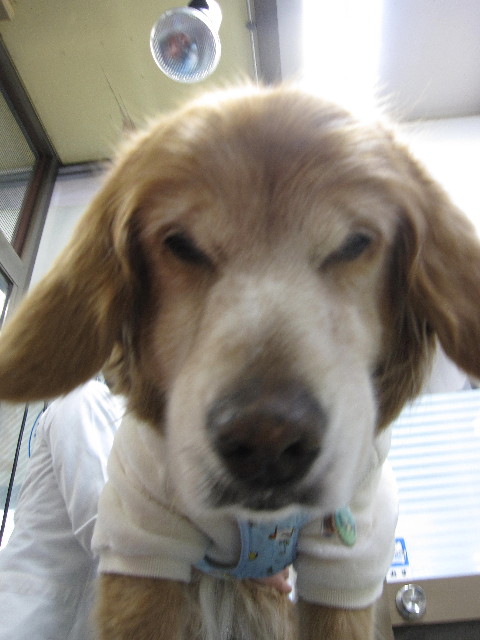 ファイル 2180-2.jpg