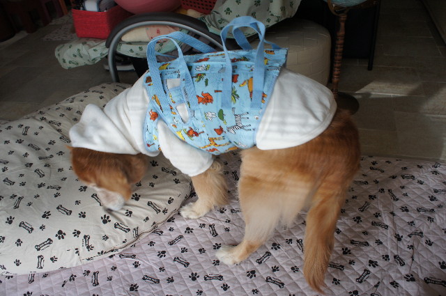 ファイル 2181-2.jpg