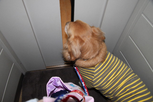 ファイル 2187-1.jpg