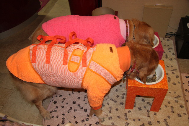 ファイル 2187-3.jpg