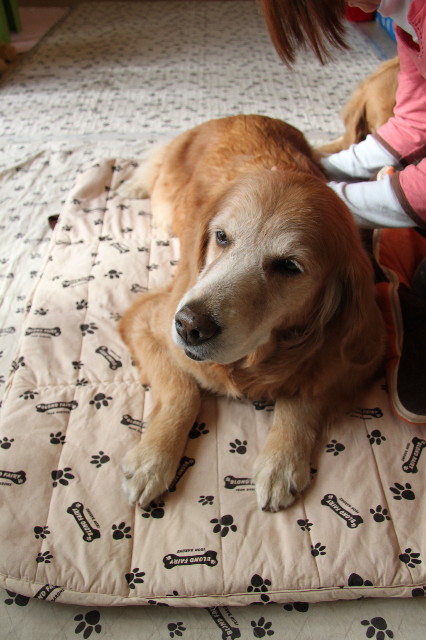 ファイル 2189-1.jpg