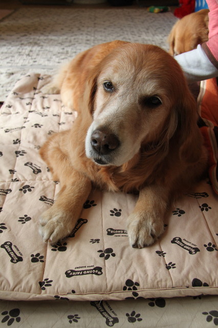 ファイル 2189-2.jpg