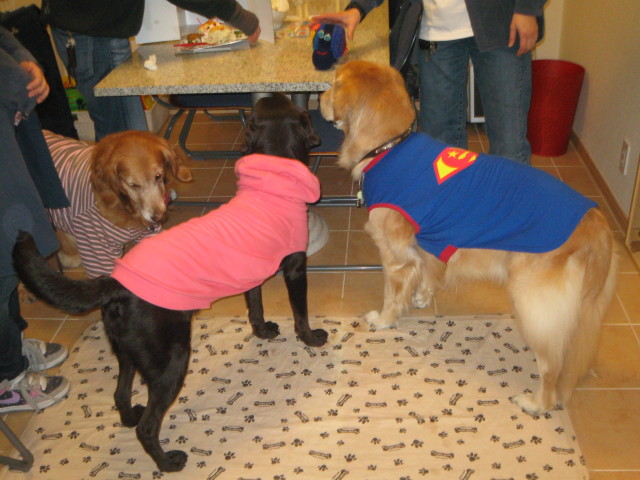 ファイル 219-4.jpg