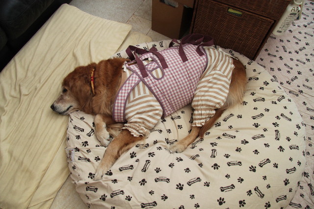 ファイル 2190-5.jpg