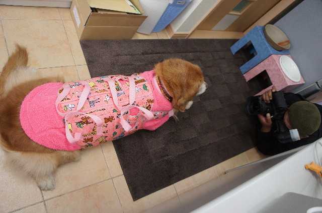 ファイル 2192-1.jpg