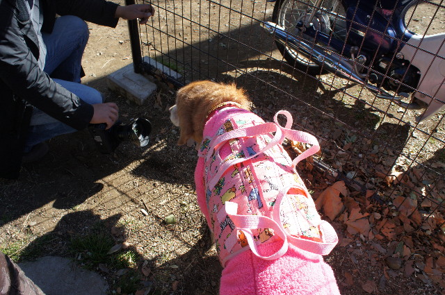 ファイル 2192-2.jpg