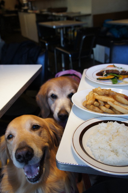 ファイル 2192-3.jpg