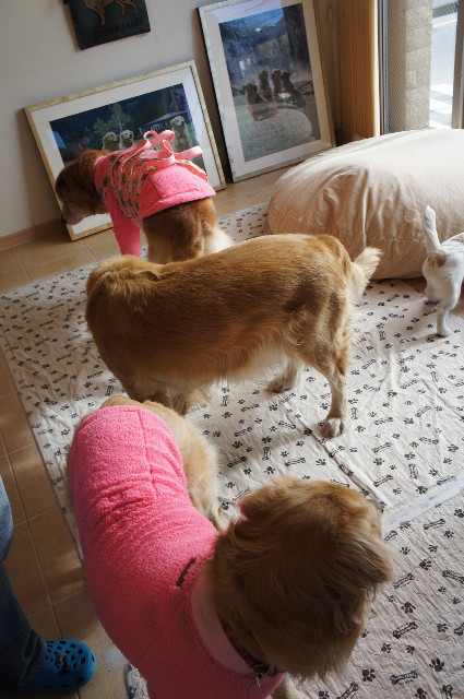 ファイル 2193-1.jpg