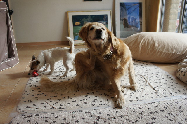 ファイル 2193-2.jpg