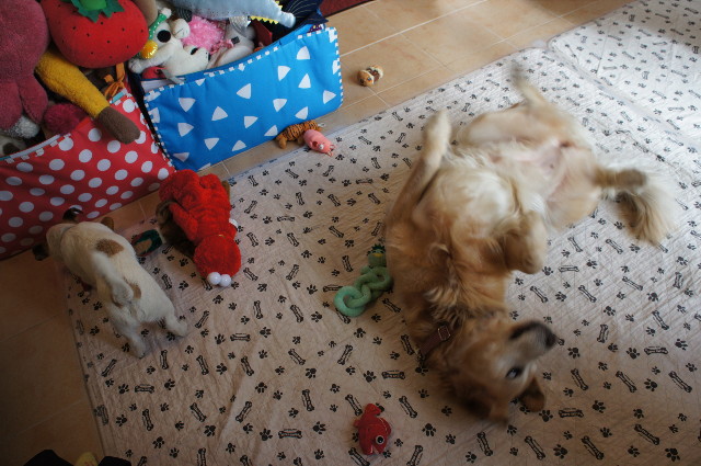 ファイル 2193-3.jpg