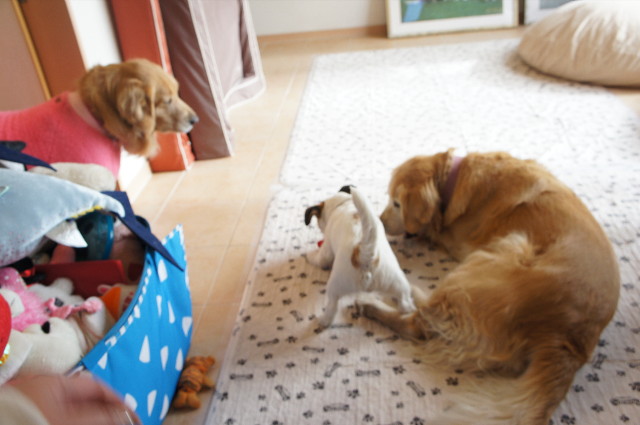 ファイル 2194-1.jpg