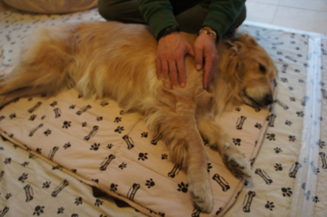 ファイル 2195-2.jpg