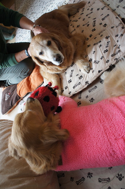 ファイル 2195-4.jpg