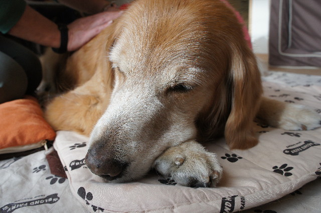 ファイル 2195-5.jpg