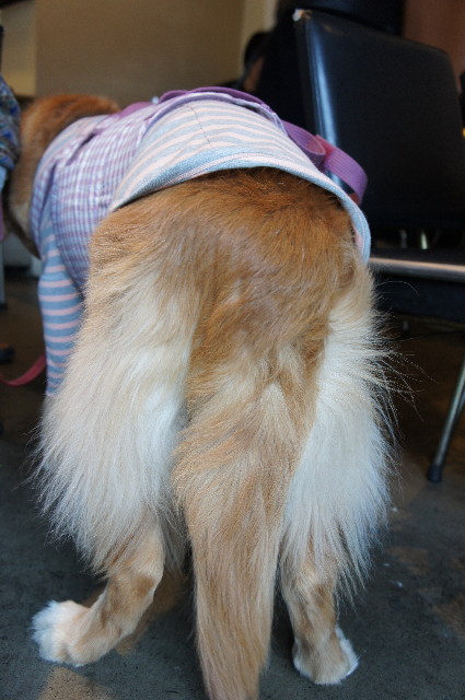 ファイル 2198-4.jpg