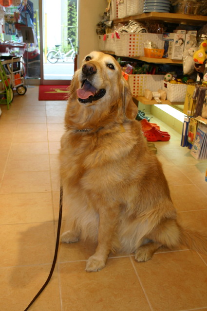 ファイル 220-1.jpg