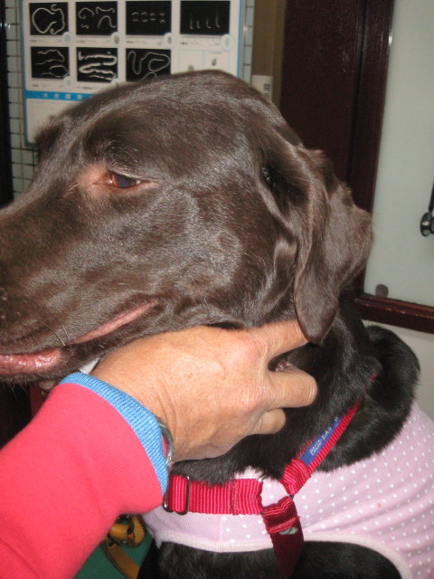 ファイル 220-4.jpg