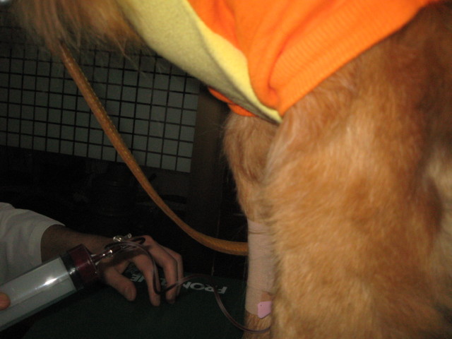 ファイル 220-5.jpg