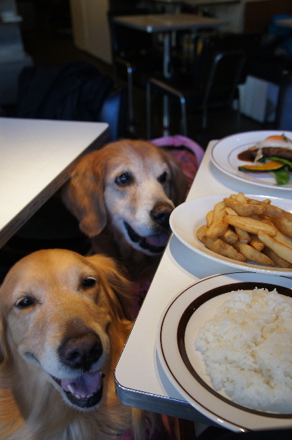 ファイル 2201-1.jpg