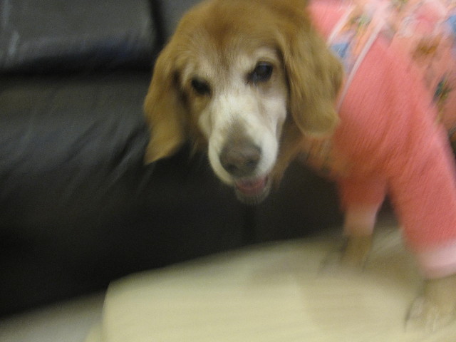 ファイル 2204-3.jpg